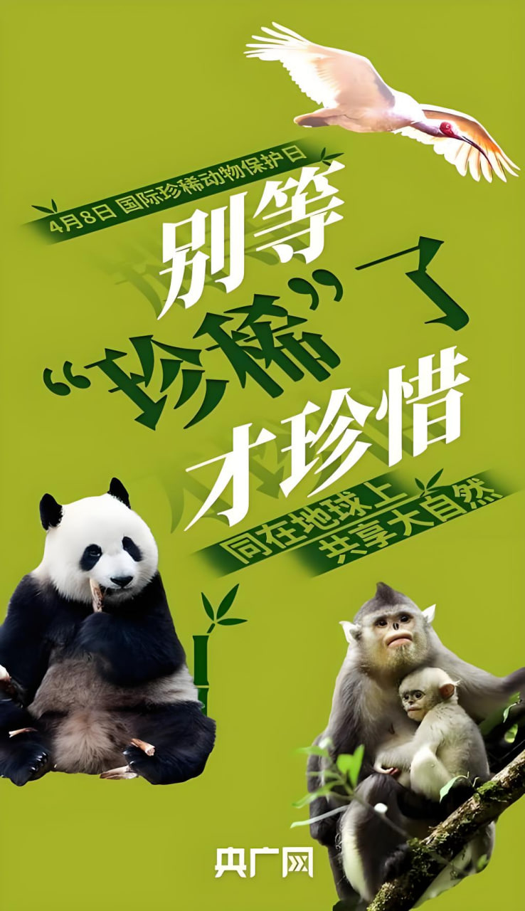 网站推广联盟